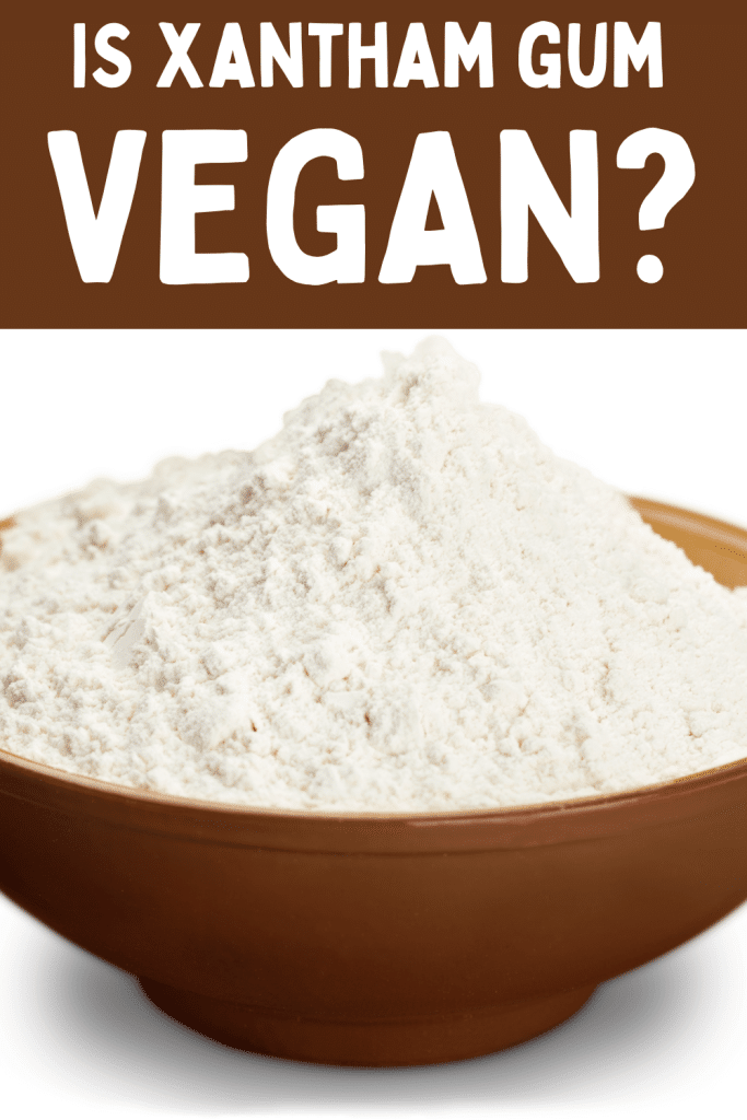 Is Xanthan Gum Vegan? Vegetarian Mamma