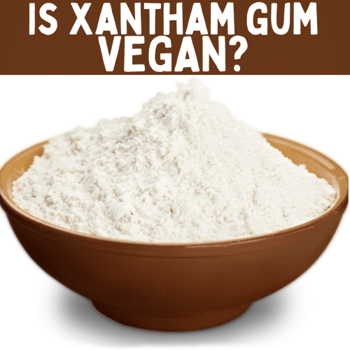 brown bowl with white powder. Text overlay: is xantham gum vegan?
