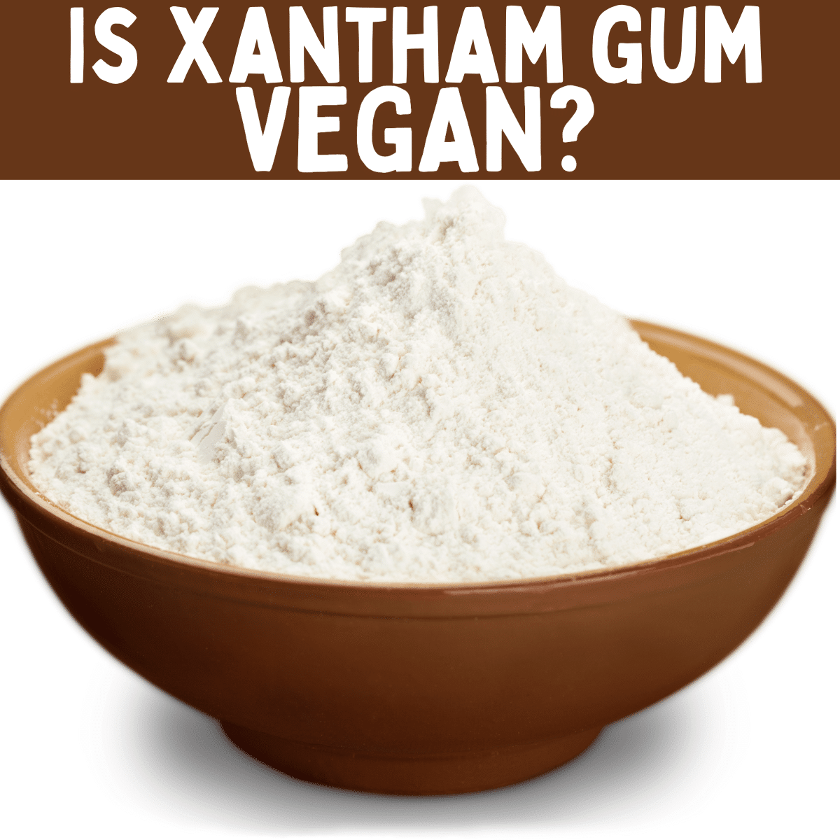 what-is-xanthan-gum-and-why-is-it-added-to-food