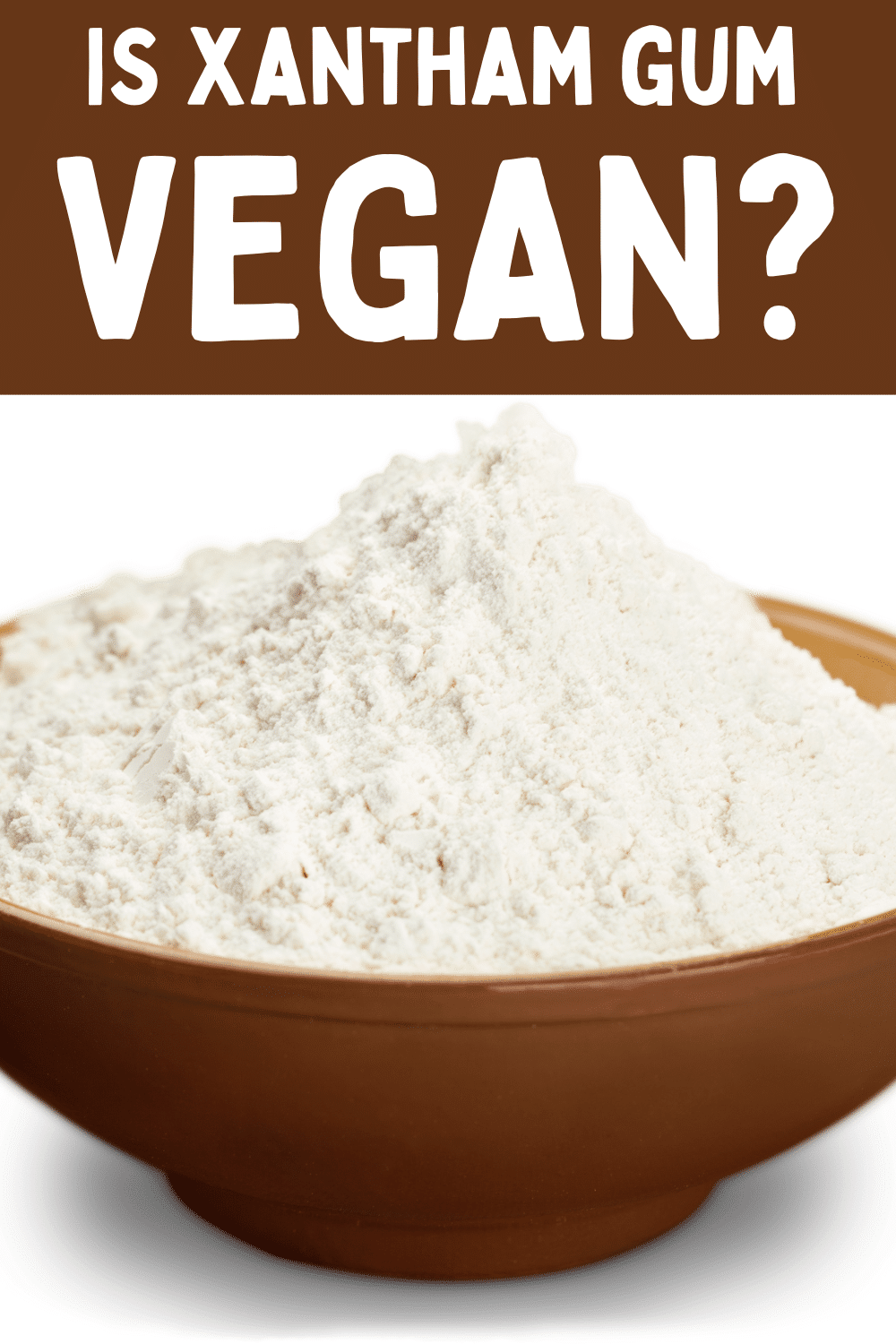 You want to know: Is Xanthan Gum Vegan? We have all the details in this post! We will answer all your questions about is Xanthan Gum Vegan.