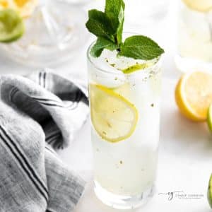 a tall bootlegger cocktail with fresh mint and vodka, slices of lemon and lime.