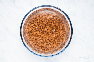 pinto beans soaking in a bowl of water.