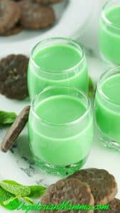 pour into glasses and add mint leaves or thin mint cookies.